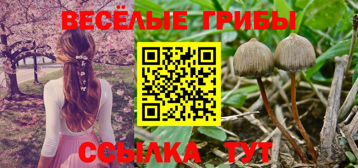 Псилоцибиновые грибы Magic Shrooms Нововоронеж